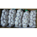 2016 New Crop Fresh White Garlic